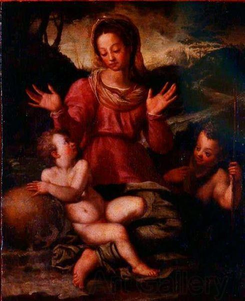 Andrea del Sarto Madonna and Child with St France oil painting art